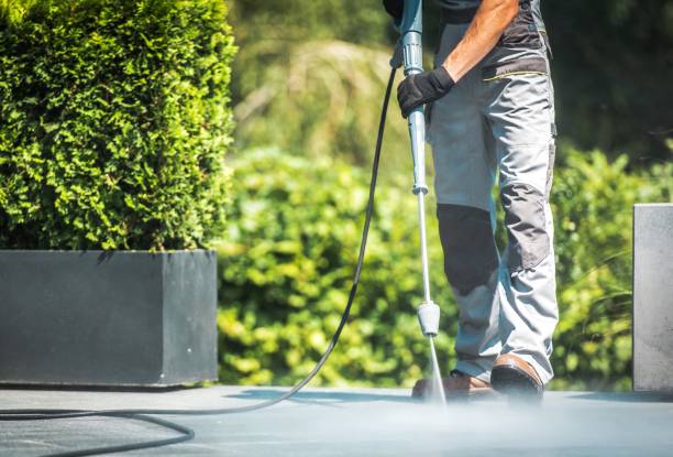 Best Building Exterior Washing  in , SC